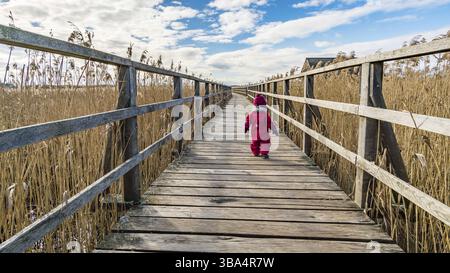 Fantastica giornata presso il sito naturale di Federsee, patrimonio mondiale dell'umanità, vicino a Bad Buchau, alta Svevia, Germania, Europa Foto Stock