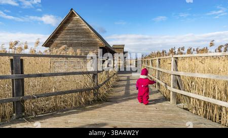 Fantastica giornata presso il sito naturale di Federsee, patrimonio mondiale dell'umanità, vicino a Bad Buchau, alta Svevia, Germania, Europa Foto Stock