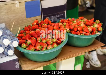 Fragole rosse fresche in ciotole per la vendita in un mercato di Shanghai, Cina. Succoso e dolce, perfetto per le piccole imprese e il retail Foto Stock