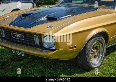 20 aprile 2025 - Limmen-Paesi Bassi: Una Ford Mustang d'oro classica esposta durante il festival Bloemendagen (giorni dei fiori) a Limmen, Paesi Bassi. Foto Stock