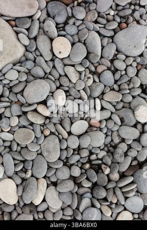 Ciottoli grigi lisci che coprono la superficie della spiaggia Foto Stock