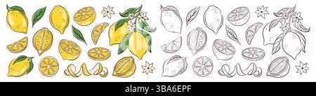 set lemon per libro da colorare in stile line art. Raccolta di icone di agrumi, intere e a fette isolate su sfondo bianco. Per il Web, la stampa, il prodotto Illustrazione Vettoriale