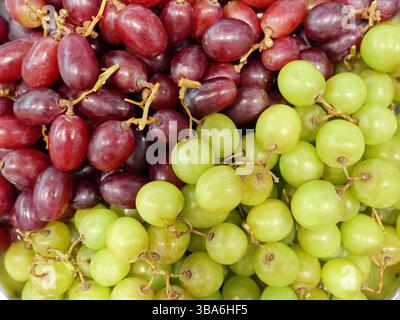 Uva verde e blu fresca come snack sani, ricchi di vitamine e sostanze nutritive, perfetti per uno spuntino rinfrescante e naturale tra i pasti. Foto Stock
