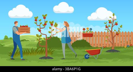 Donna che raccoglie mele dall'albero e uomo che porta una cassa di legno piena di frutta. Raccolta in giardino. Attività agricole e attività lavorative stagionali ecologiche Illustrazione Vettoriale