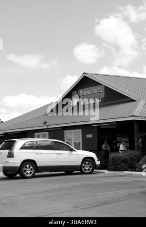 Vista esterna del McLeod Farms Market e caffetteria a McBee, South Carolina, Stati Uniti, rinomato per i prodotti freschi, l'ospitalità del sud e il fascino della strada. Foto Stock