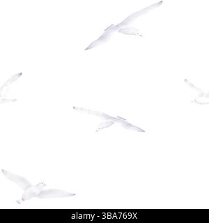 Gabbiani e albatri sorvolano l'acqua. Motivo senza cuciture. Illustrazione acquerello. Un gruppo di uccelli marini in volo evidenziato su un backgroun bianco Foto Stock