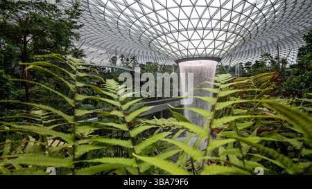 Singapore - 8 aprile 2025: La cascata al coperto più alta del mondo, The Rain Vortex, circondata da una foresta terrazzata a Changi Jewel, Singapo Foto Stock