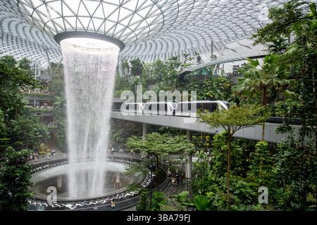 Singapore - 8 aprile 2025: La cascata al coperto più alta del mondo, The Rain Vortex, circondata da una foresta terrazzata a Changi Jewel, Singapo Foto Stock