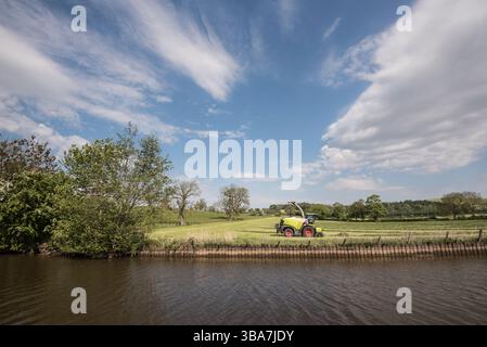 Trebbiatrice di foraggio semovente Claas Jaguar 970 stazionaria, forse per le regolazioni del campo di lavoro a Gargrave lungo il canale Leeds & Liverpool. Foto Stock