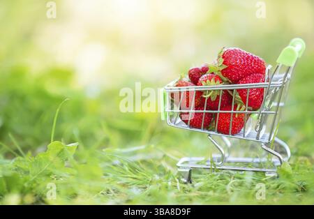 Carrello con supermercato con fragole sull'erba verde. Bellissime bacche estive Foto Stock