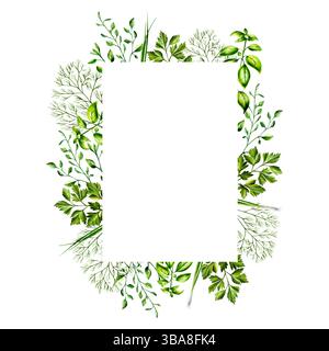 Cornice verde fresca, aneto per striscioni, basilico, cipolle verdi. Modello ad acquerello disegnato a mano, erbe origano isolate su sfondo trasparente. illustrazione Foto Stock