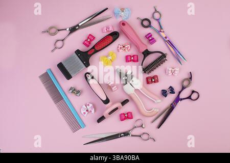 Strumento per il groomer su sfondo rosa. Accessori per la cura del cane. Pettini e spazzole per animali. Vista dall'alto Foto Stock