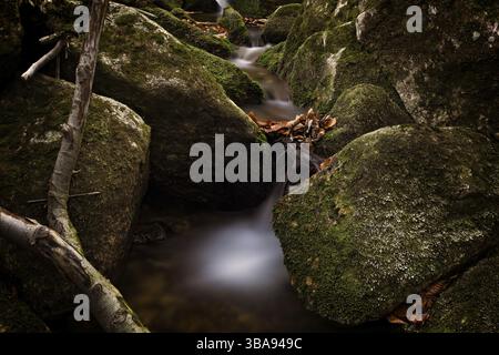 Autunno lunga esposizione del Creek e nero (grande) Stolpich cascate in Jizera Mountain. L'acqua cade in un profondo canyon di foresta piena di pietre di granito Foto Stock
