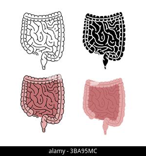 Illustrazione vettoriale dell'intestino umano sano isolata su sfondo bianco Foto Stock