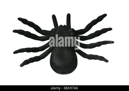 Silhouette di un ragno nero su sfondo bianco Foto Stock