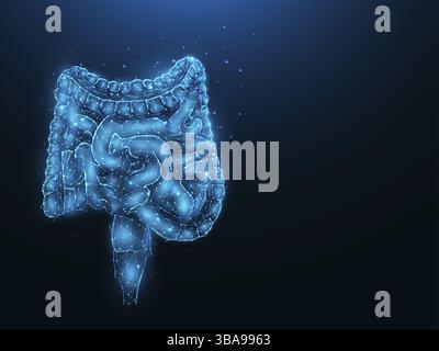 Astrazione rappresentazione vettoriale poligonale dell'intestino su sfondo blu scuro. Apparato digerente, struttura interna a basso contenuto di poli. Sanne medica Foto Stock