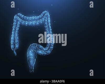 Astrazione rappresentazione vettoriale poligonale del colon o dell'intestino crasso su sfondo blu scuro. Apparato digerente, struttura interna a basso contenuto di poli. Foto Stock