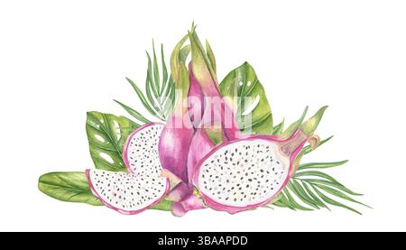 Frutti di drago rosa e fette succose, monstera, foglie di palma sfondo isolato. Composizione esotica di pitahaya dolce per tropicale Foto Stock