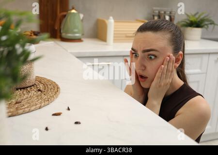 Donna che guarda gli scarafaggi sul piano di lavoro in cucina Foto Stock