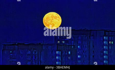 Glasgow, Scozia, Regno Unito. 12 maggio aprile 2025. Meteo nel Regno Unito: Luna piena di fiori sul sud-est della città e le torri del consiglio di lincoln avenue. Credit Gerard Ferry/Alamy Live News Foto Stock