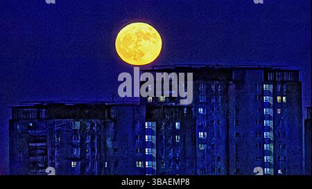 Glasgow, Scozia, Regno Unito. 12 maggio aprile 2025. Meteo nel Regno Unito: Luna piena di fiori sul sud-est della città e le torri del consiglio di lincoln avenue. Credit Gerard Ferry/Alamy Live News Foto Stock