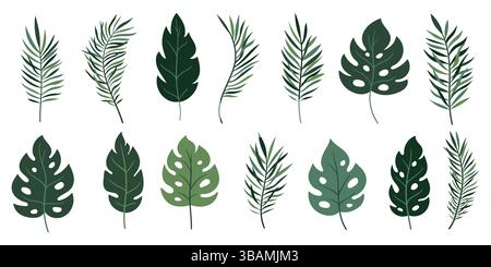 Foglie tropicali verdi isoalate su sfondo bianco per poster, stampa, invito, design della copertina. Foglie verdi esotiche ornamentali. Palma, banana Illustrazione Vettoriale