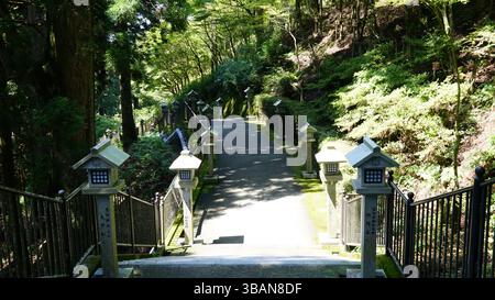 Golden Torii al Santuario Akiba - porta spirituale nella luce d'autunno Foto Stock