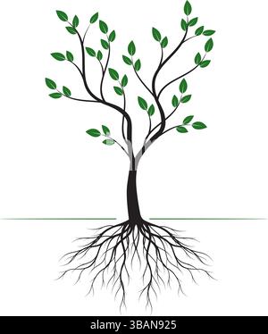 Forma di albero verde con foglie e radici. Illustrazione del profilo vettoriale. Impianto in giardino. Illustrazione Vettoriale