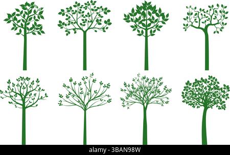Impostare alberi verdi su sfondo bianco. Illustrazione Vettoriale