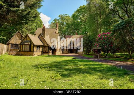 Vecchio cottage inglese nel bosco - Hansel e Gretel Foto Stock