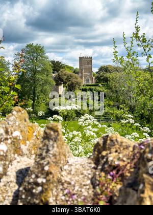 St Nicholas Church, Abbotsbury, Dorset, Regno Unito, visto attraverso un muro di pietra secca. La prima costruzione risale al XIV e XV secolo e questo Foto Stock