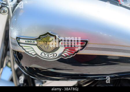 Logo sul serbatoio del gas di una motocicletta Harley-Davidson. Foto Stock