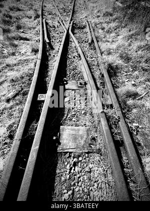Linea ferroviaria artistica in disuso Foto Stock