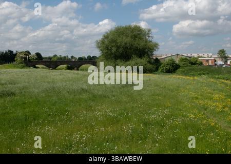 Five Arch Bridge, Creech St Michael, Somerset, Inghilterra Foto Stock