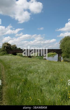 Five Arch Bridge, Creech St Michael, Somerset, Inghilterra Foto Stock