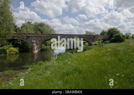 Five Arch Bridge, Creech St Michael, Somerset, Inghilterra Foto Stock