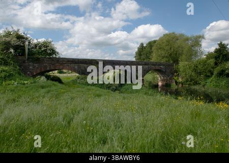 Five Arch Bridge, Creech St Michael, Somerset, Inghilterra Foto Stock