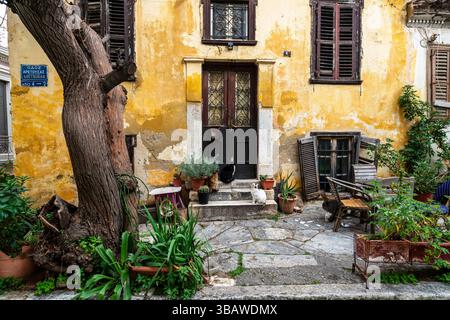 Atene, Grecia - 2 marzo 2025: Quattro gatti lounge in un accogliente cortile in pietra del quartiere Plaka ad Atene, circondato da mura intemprate e vasi Foto Stock