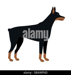 Cane doberman piatto disegnato a mano, isolato su sfondo bianco Illustrazione Vettoriale