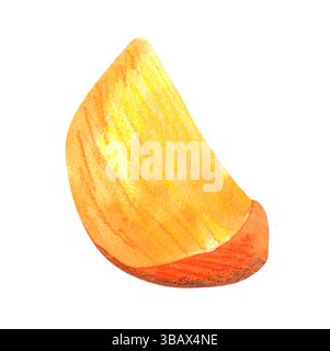 Fette di arancia fresca tagliate a fette di cachi isolate su bianco. Estate frutta biologica per uno stile di vita sano. Illustrazione ad acquerello disegnata a mano. Foto Stock