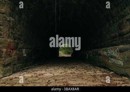 Un vecchio tunnel di pietra nascosto nell'oscurità, graffiti che ne segnano le pareti, con uno scorcio di foresta e luce che si infrangono all'estremità Foto Stock
