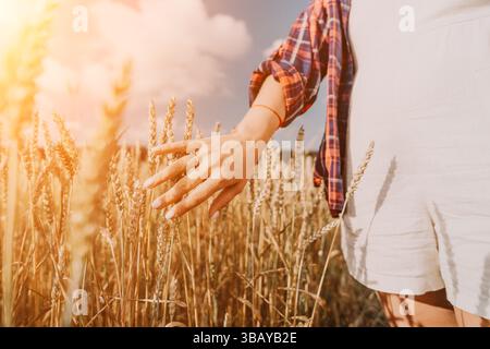 Donna campo di grano. Agronomo, agricoltore donna che controlla i picchi d'orzo maturo dorato nel campo coltivato. Primo piano della mano femminile sulla piantagione in agricoltura Foto Stock