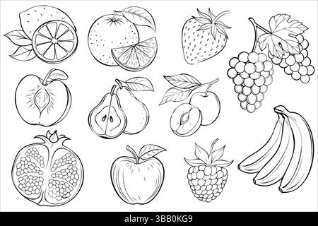 Set di frutti bianchi e neri, tra cui frutti di bosco, agrumi e varietà tropicali, disegnati a mano Illustrazione Vettoriale