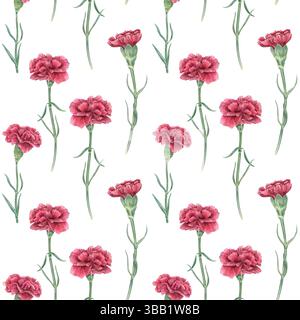 Motivo acquerello senza cuciture con garofani rossi singoli su steli e foglie sfondo isolato. Fiori dipinti a mano per disegni romantici Foto Stock