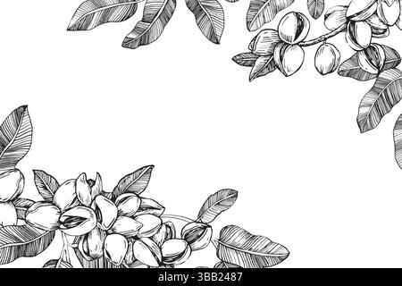 Bordo del ramo del pistacchio con noci e foglie. Illustrazione in bianco e nero vettoriale disegnata a mano Illustrazione Vettoriale