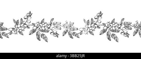 Ramo di pistacchio bordo senza cuciture con dadi e foglie.illustrazione Vector in bianco e nero disegnata a mano Illustrazione Vettoriale