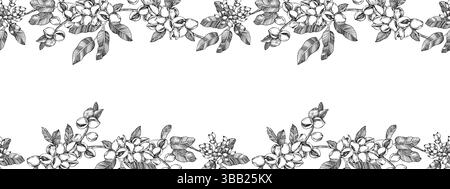 Ramo di pistacchio bordo senza cuciture con dadi e foglie.illustrazione Vector in bianco e nero disegnata a mano Illustrazione Vettoriale
