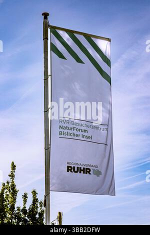 Naturschutzgebiet Bislicher Insel bei Xanten, NaturForum des RVR - Xanten, Nordrhein-Westfalen, Deutschland *** riserva naturale Bislicher Insel nei pressi di Xanten, NatureForum della RVR Xanten, Renania settentrionale-Vestfalia, Germania Foto Stock