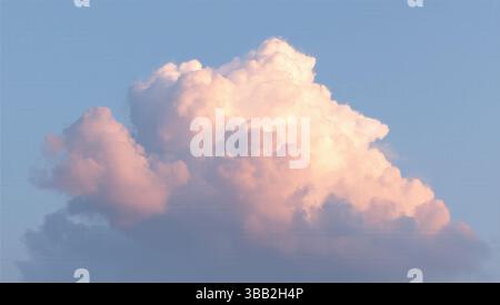 Una grande formazione di nubi di cumulus domina un cielo azzurro pallido. La nuvola è principalmente bianca e rosa chiaro, illuminata dall'alto, con una tonalità di grigio più scura Foto Stock