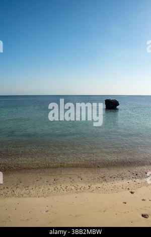 Oman: spiaggia di una delle isole Daymaniyat (ad Dimaniyat), riserva naturale incontaminata e area protetta nel Golfo di Oman, patria di tartarughe marine e uccelli Foto Stock